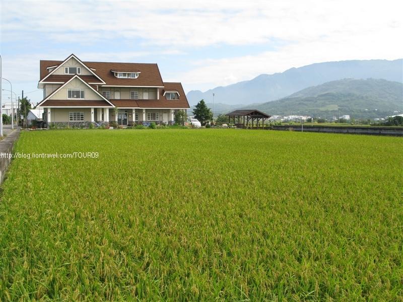 Xian Qing Yu Zhi Homestay 池上郷 エクステリア 写真